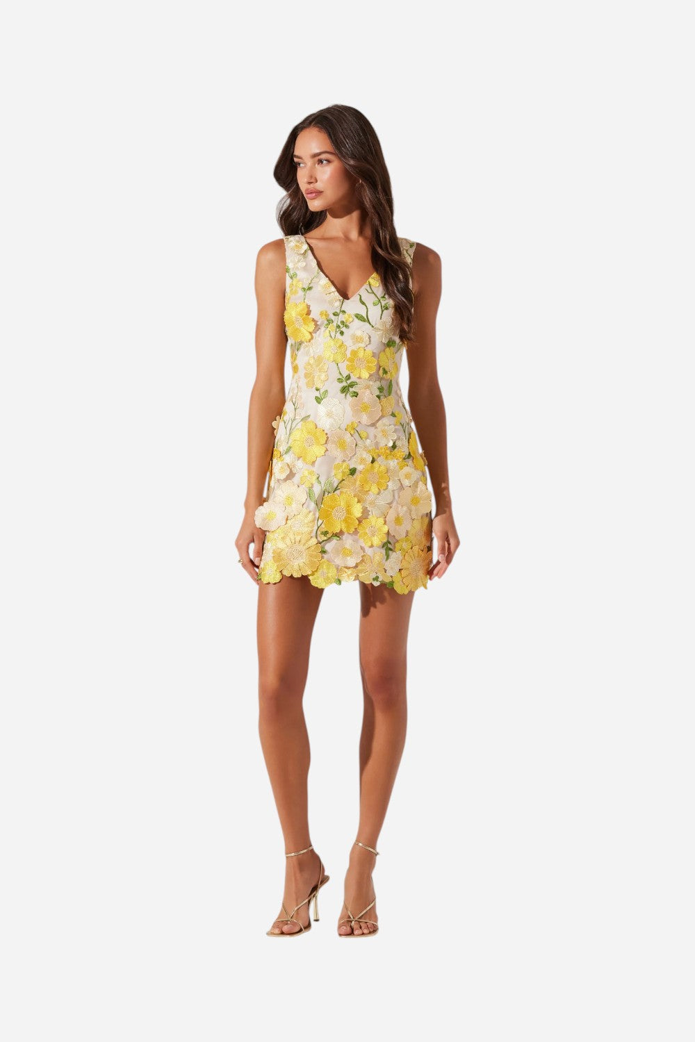 aisha mini dress ASTR the Label | Aisha Floral Appliqué Mini Dress in Yellow Floral
