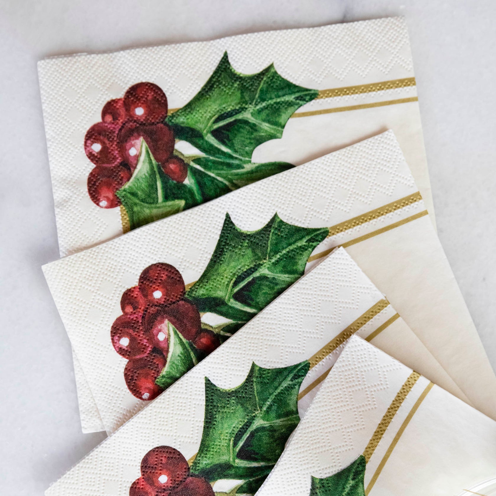 Hester & Cook Holly Cocktail Napkin Set of 20 CHROME