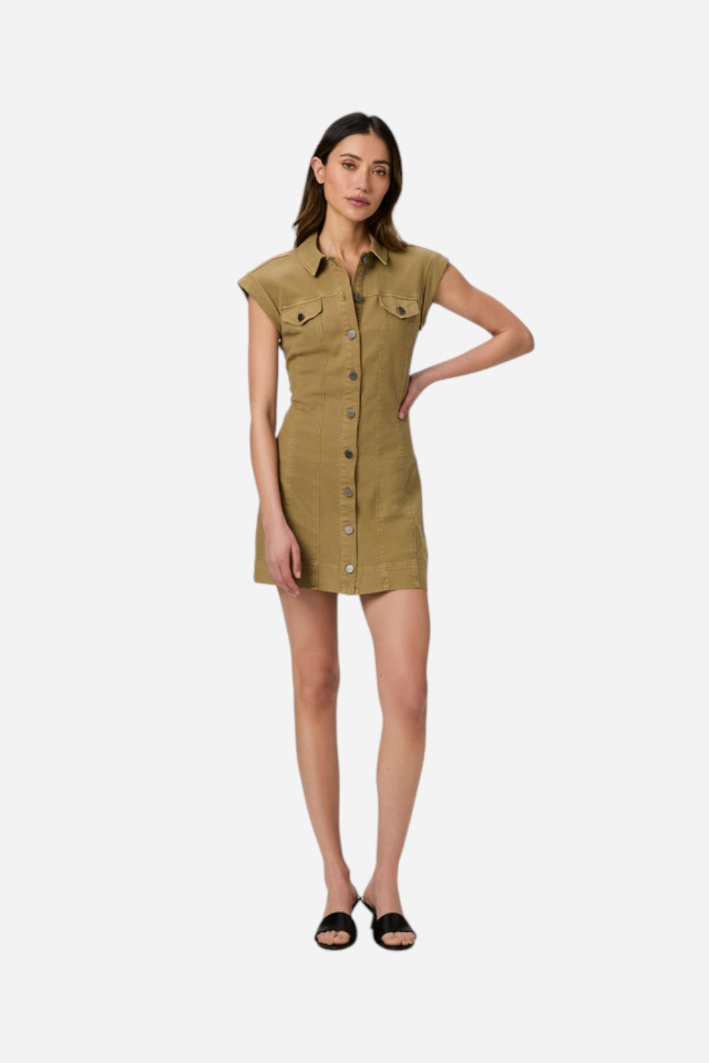 Paige Dekalb Dress in Vintage Dusty Fern – CHROME