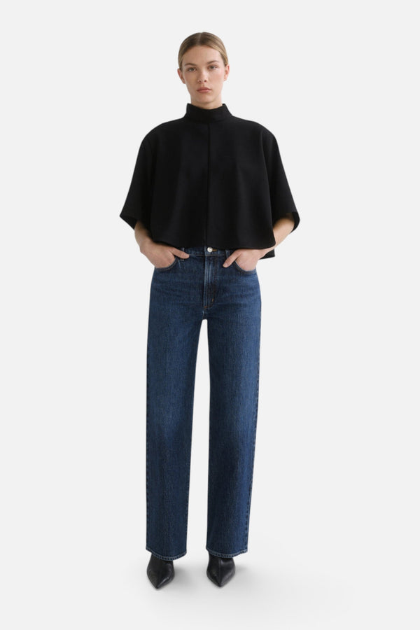 AGOLDE Harper Straight Jean in Echo