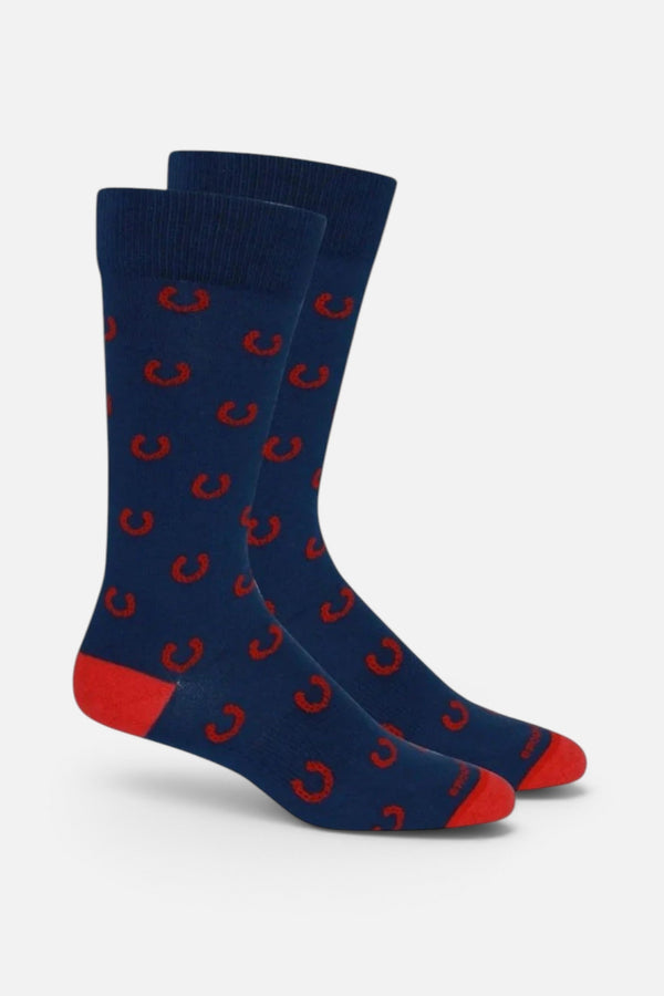 Brown Dog Socks Lucky In Blue