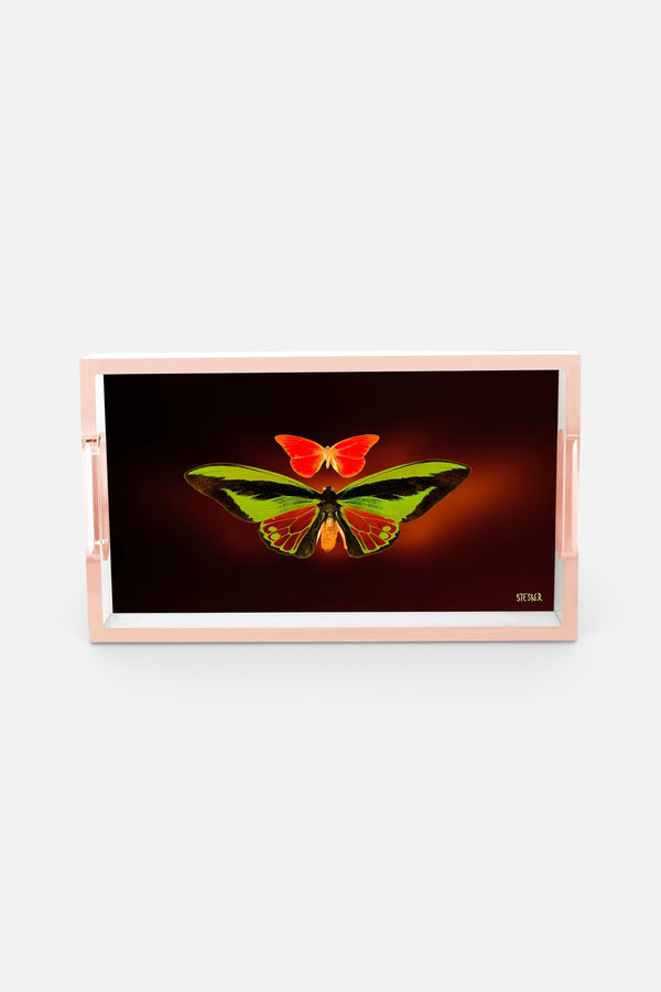 David Stesner Arthouse Twilight Embrace Small Acrylic Tray