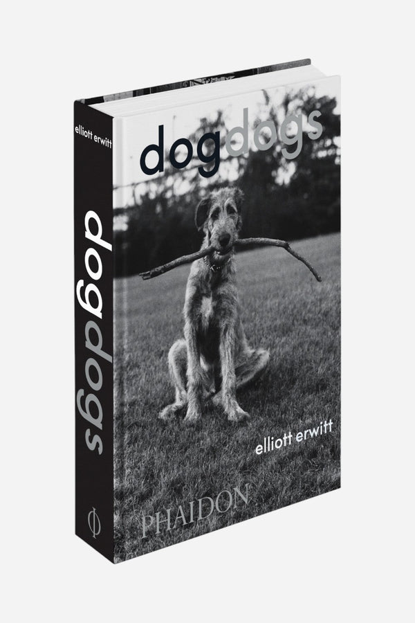 DogDogs