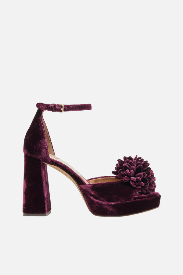 Dolce Vita Perel Flower Platform High Heel in Burgundy Velvet