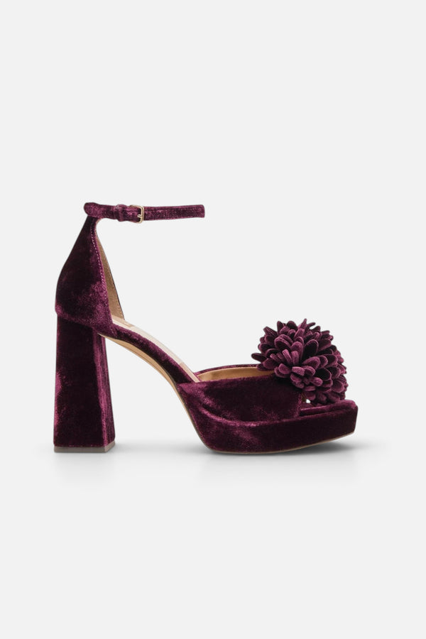 Dolce Vita Perel Flower Platform High Heel in Burgundy Velvet