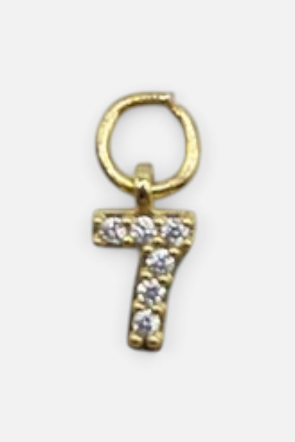 Farrah B Number Charm 7