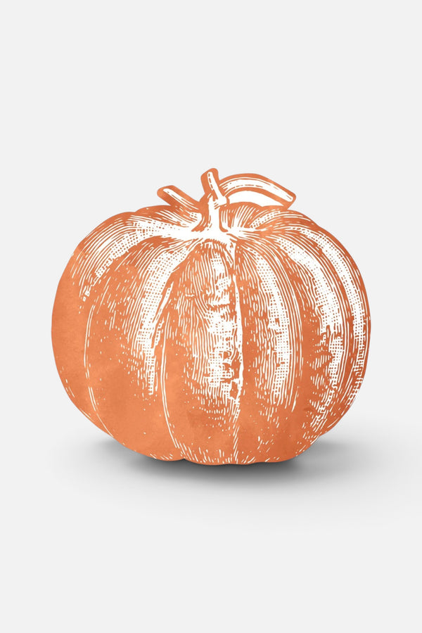 Hester & Cook Die Cut Pumpkin Placemat, Set of 12