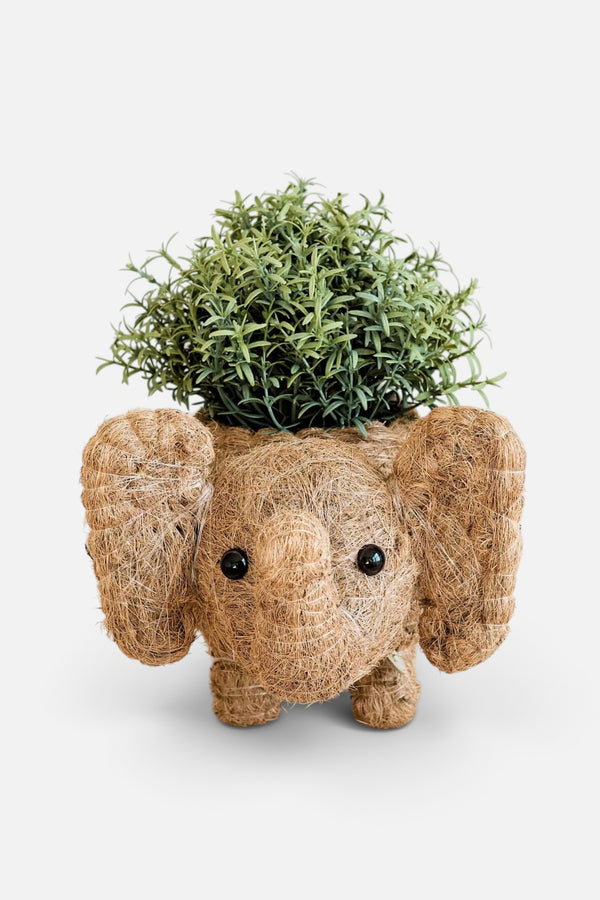 Likha Coco Coir Pots Elephant Plant Pot