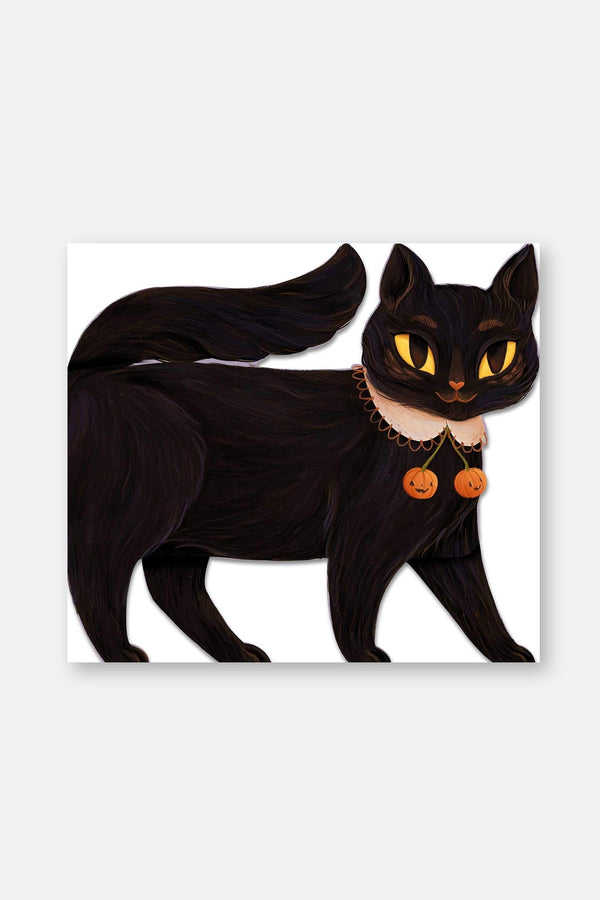 One Black Cat