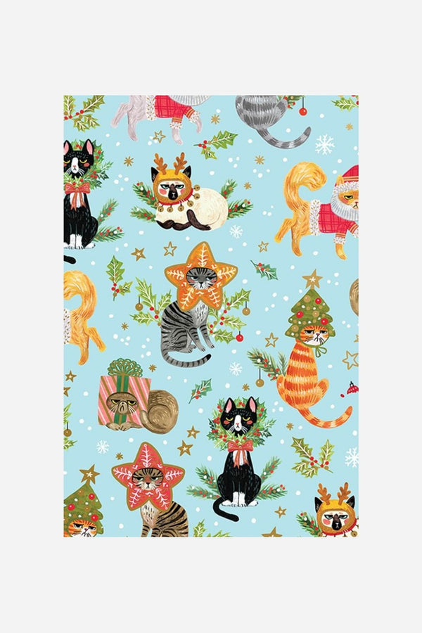 Rolls Naughty Cats Gift Wrapping Paper