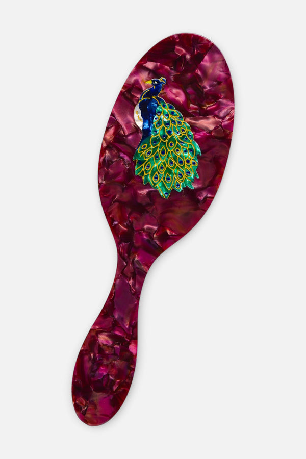 Solar Eclipse Hand-painted Peacock Amazing Hair Day Brush