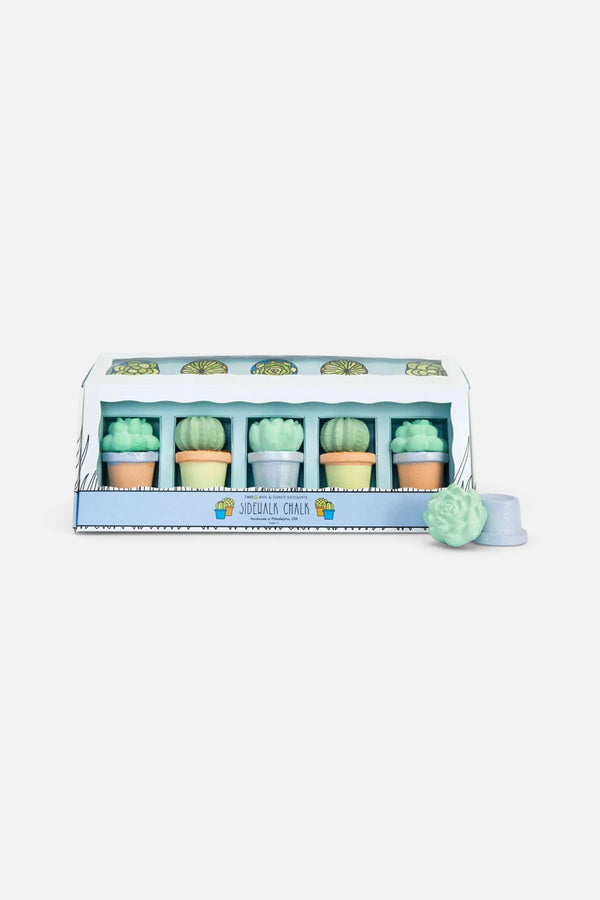Twee Chalk Succulents Sidewalk Chalk