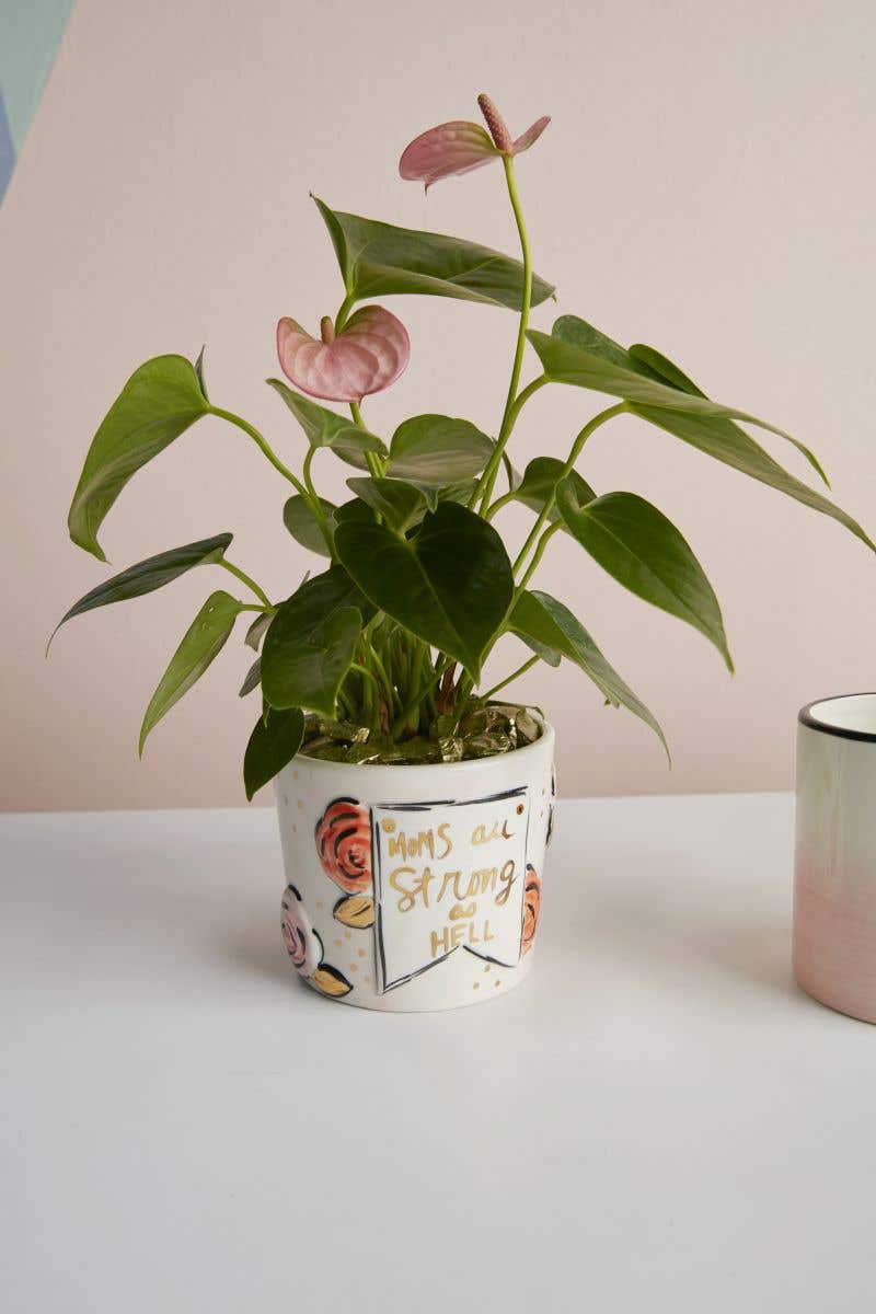 Matriarch Small Planter Pot  CHROME