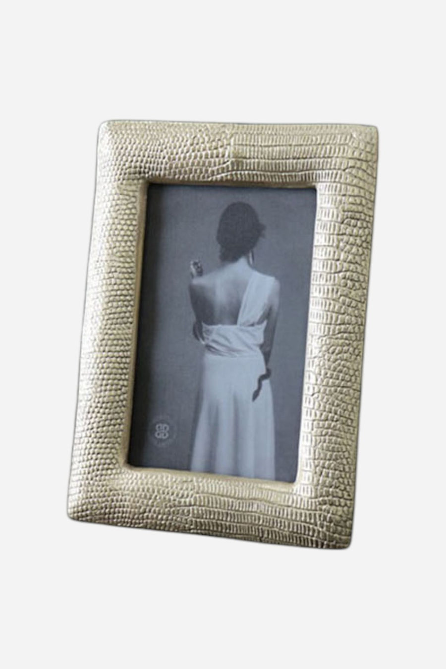 Beatriz Ball Python 4X6 Frame In Gold