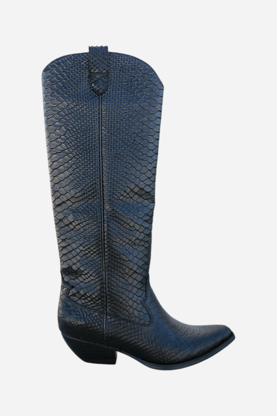 Jeffrey Campbell Galloway in Black Snake