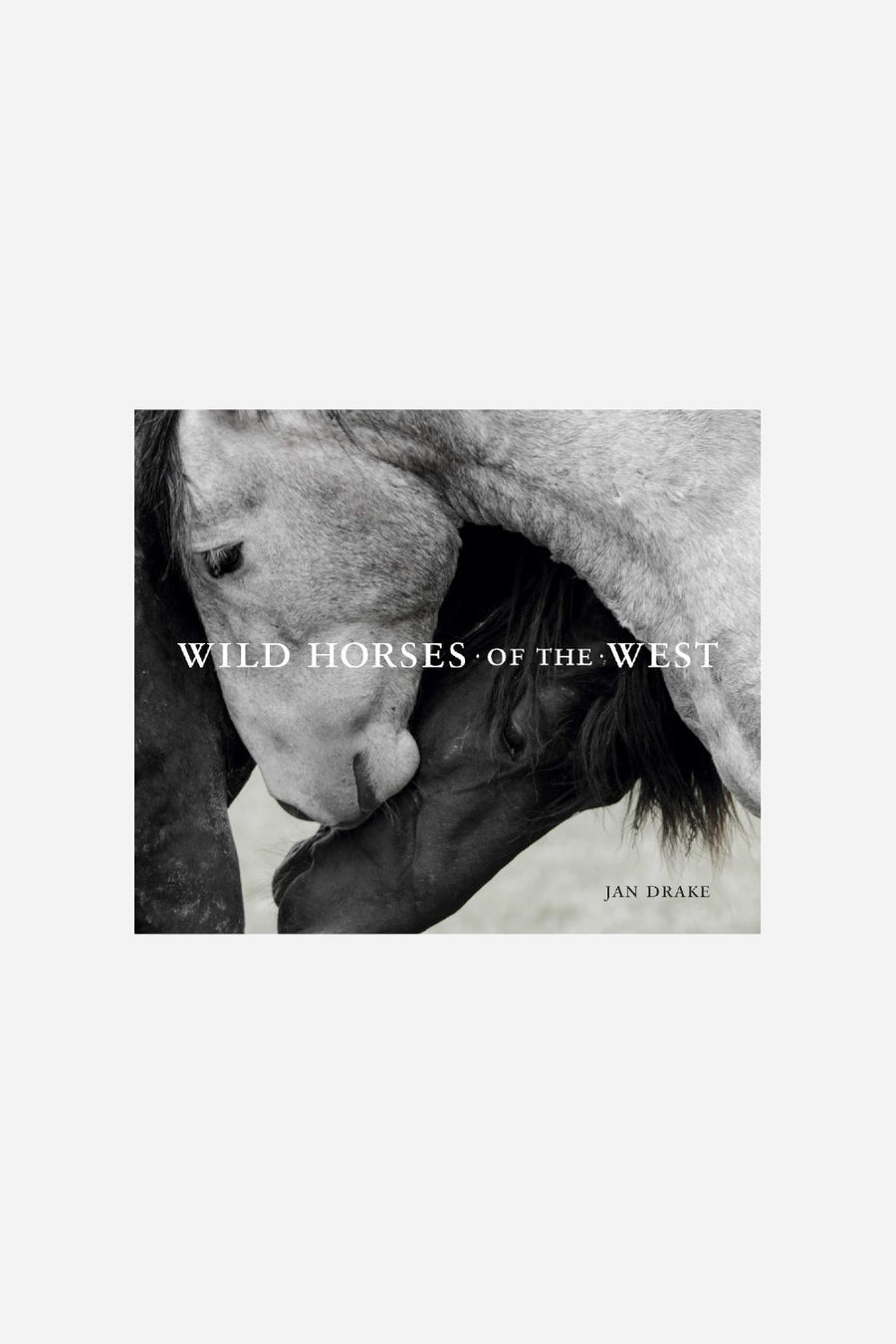 Wild Horses Of The West