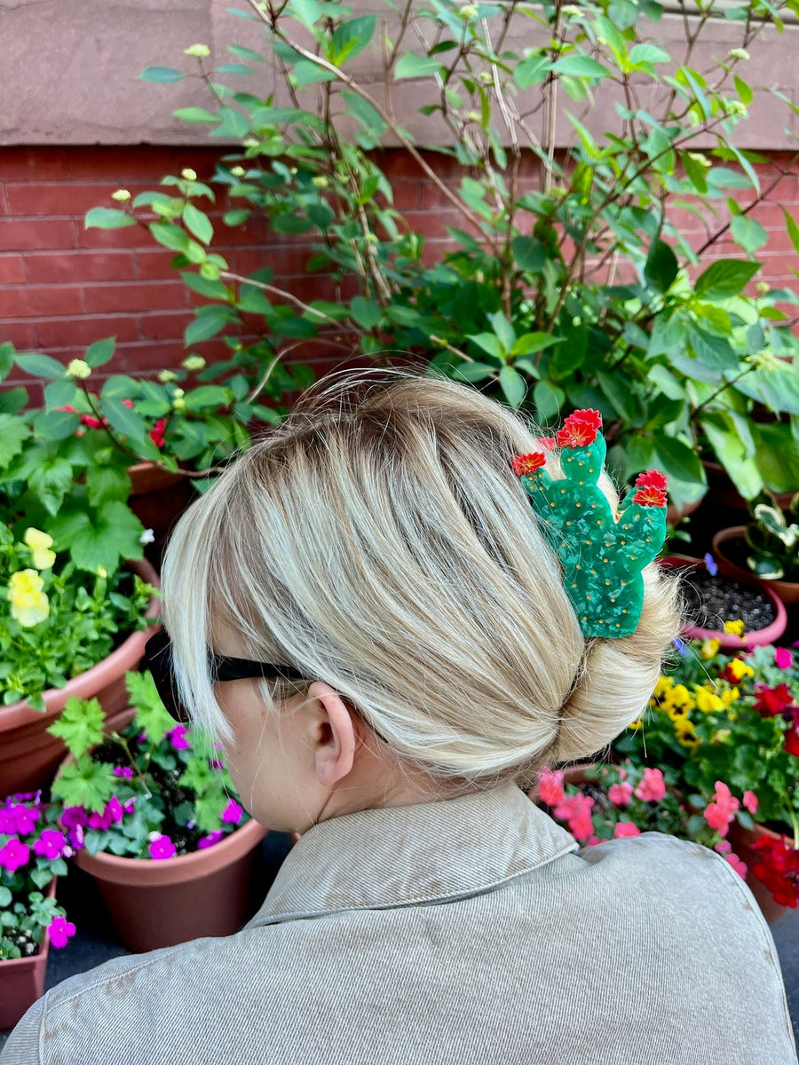 Solar Eclipse Hand-painted Prickly Pear Cactus Claw Hair Clip