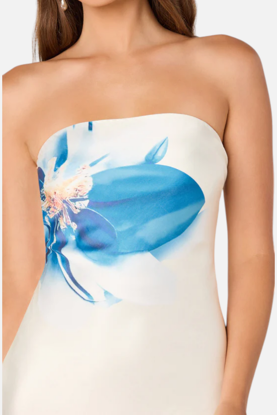 ASTR The Label Annabeth Maxi Strapless Dress in Blue Floral
