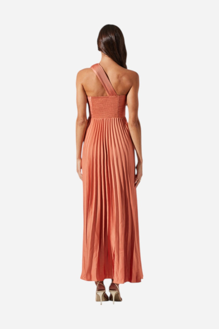 ASTR Rasya Pleated Maxi Dress in Coral – CHROME