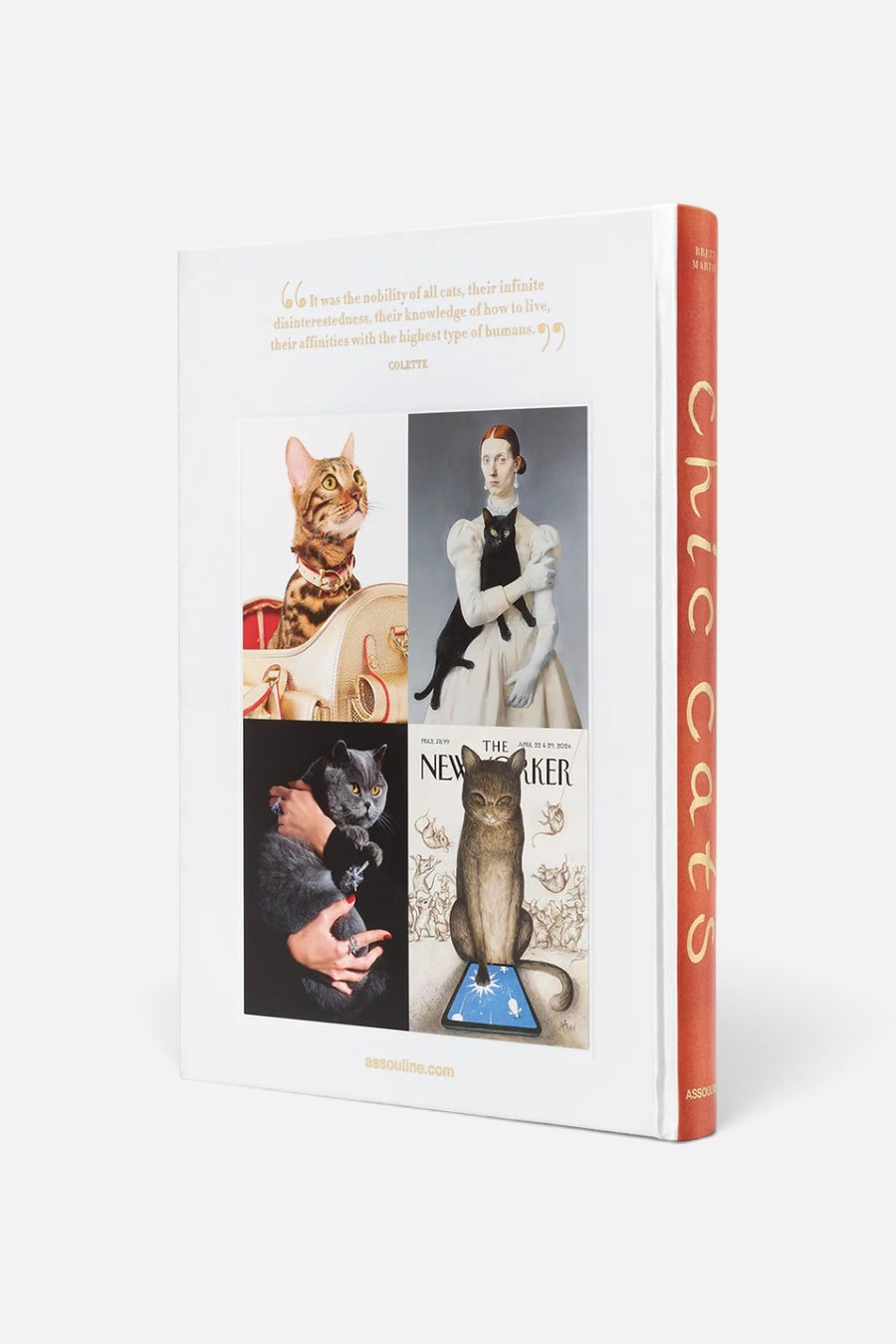 Assouline Chic Cats Coffee Table Book