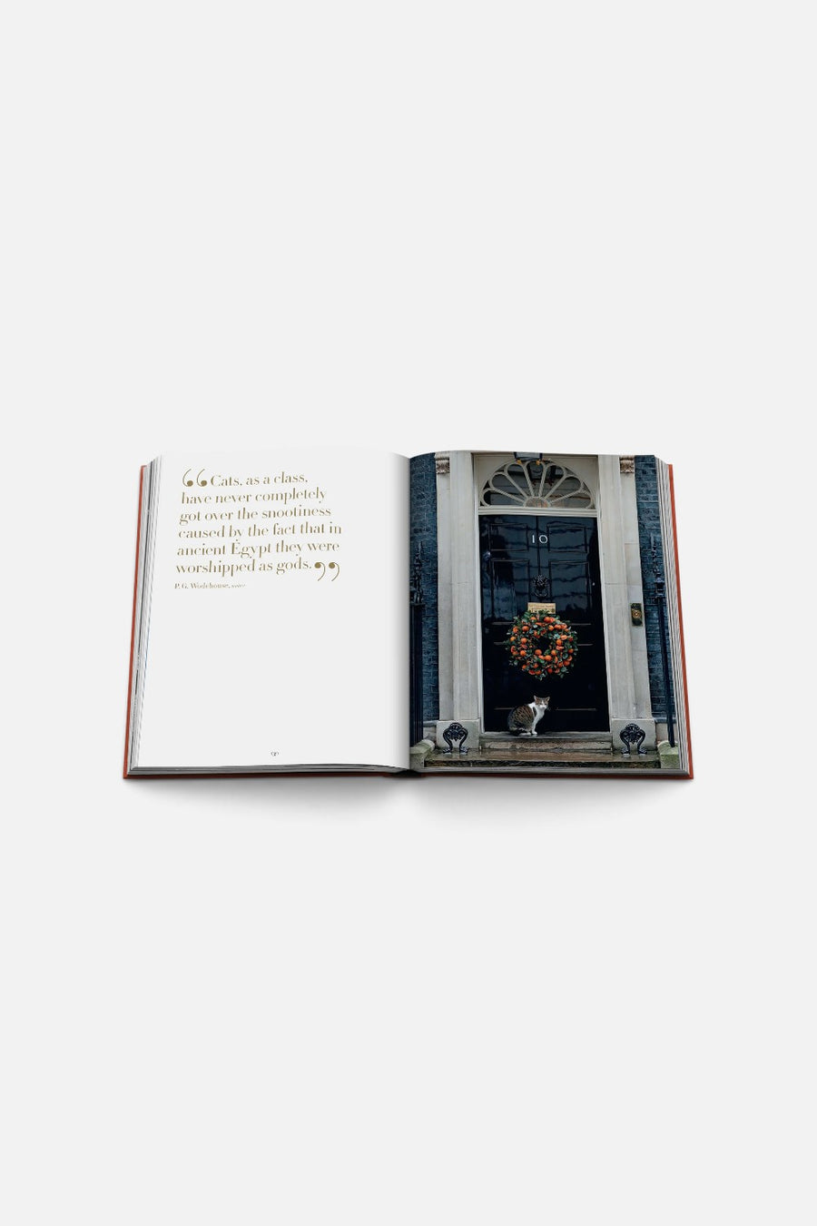 Assouline Chic Cats Coffee Table Book