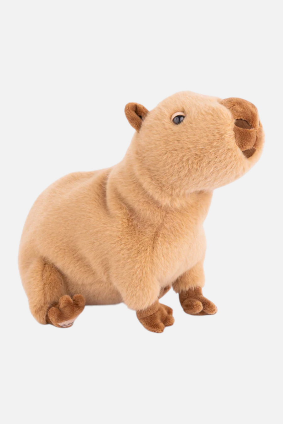 Bukowski Bears Theo Capybara Plush Toy
