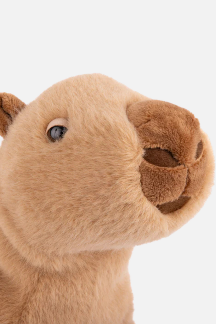 Bukowski Bears Theo Capybara Plush Toy