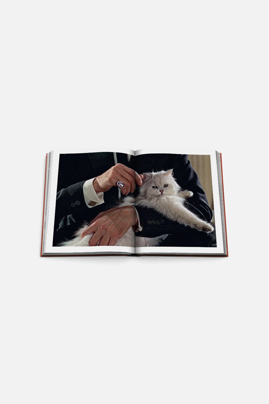 Assouline Chic Cats Coffee Table Book