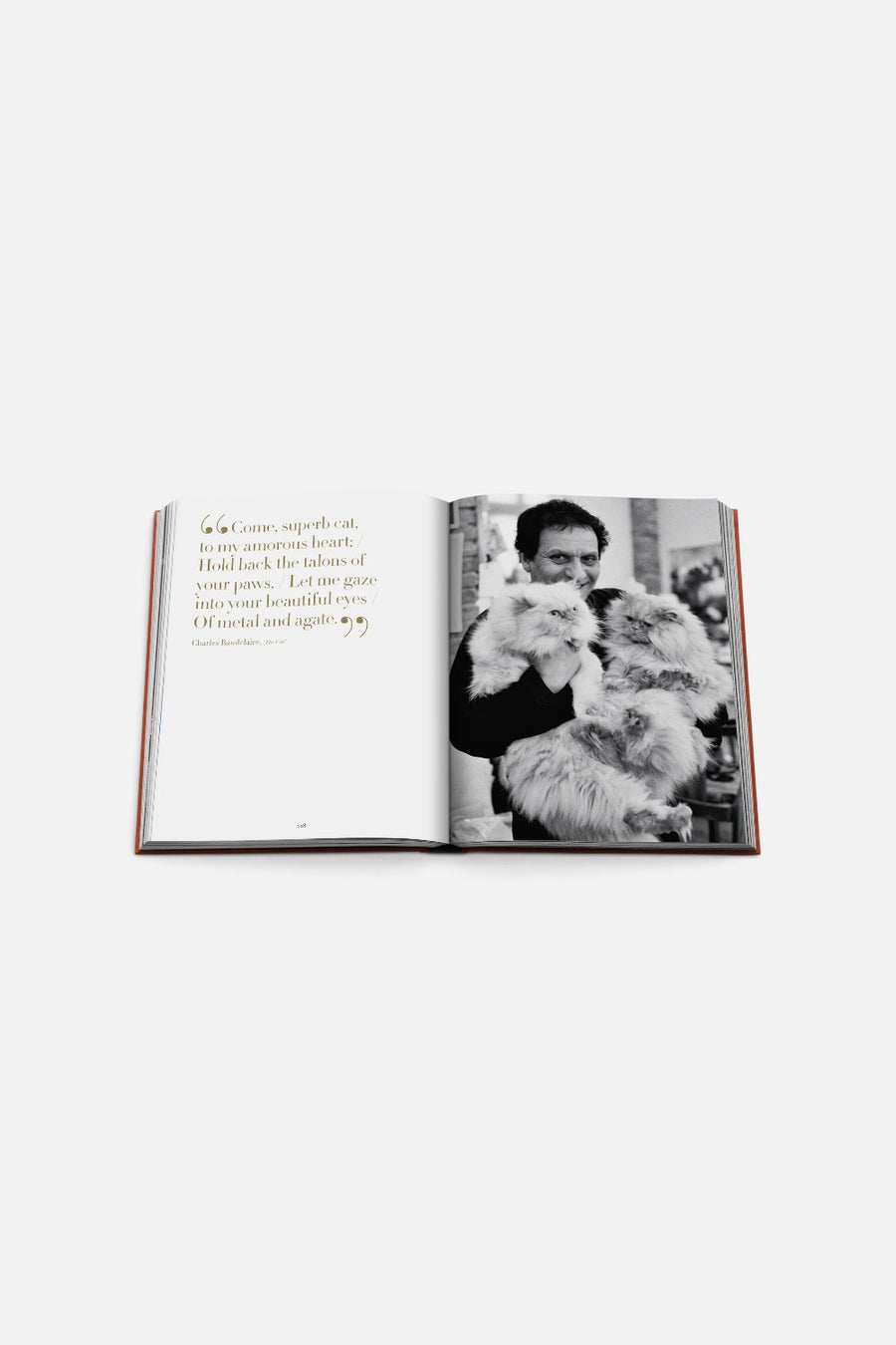 Assouline Chic Cats Coffee Table Book