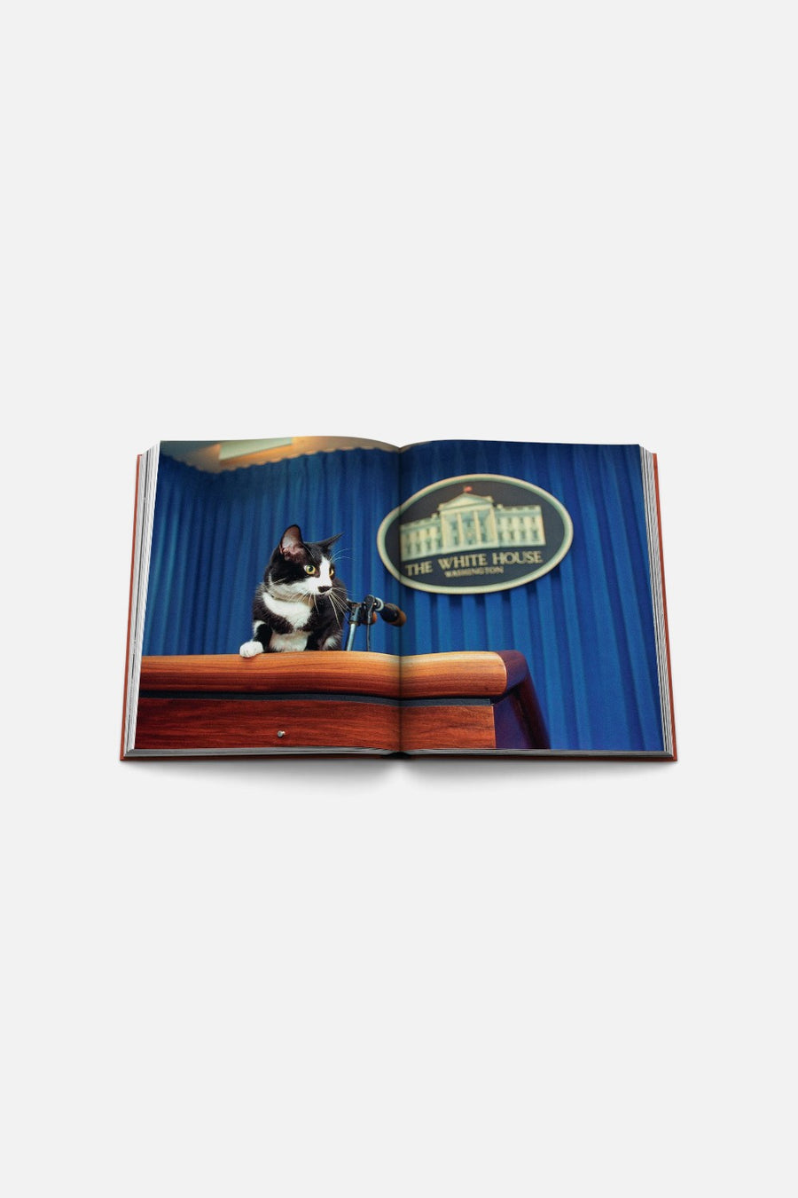 Assouline Chic Cats Coffee Table Book