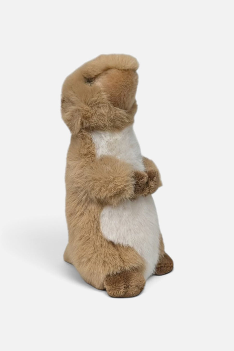 Canned Gifts Dusty the Prairie Dog Plush Toy