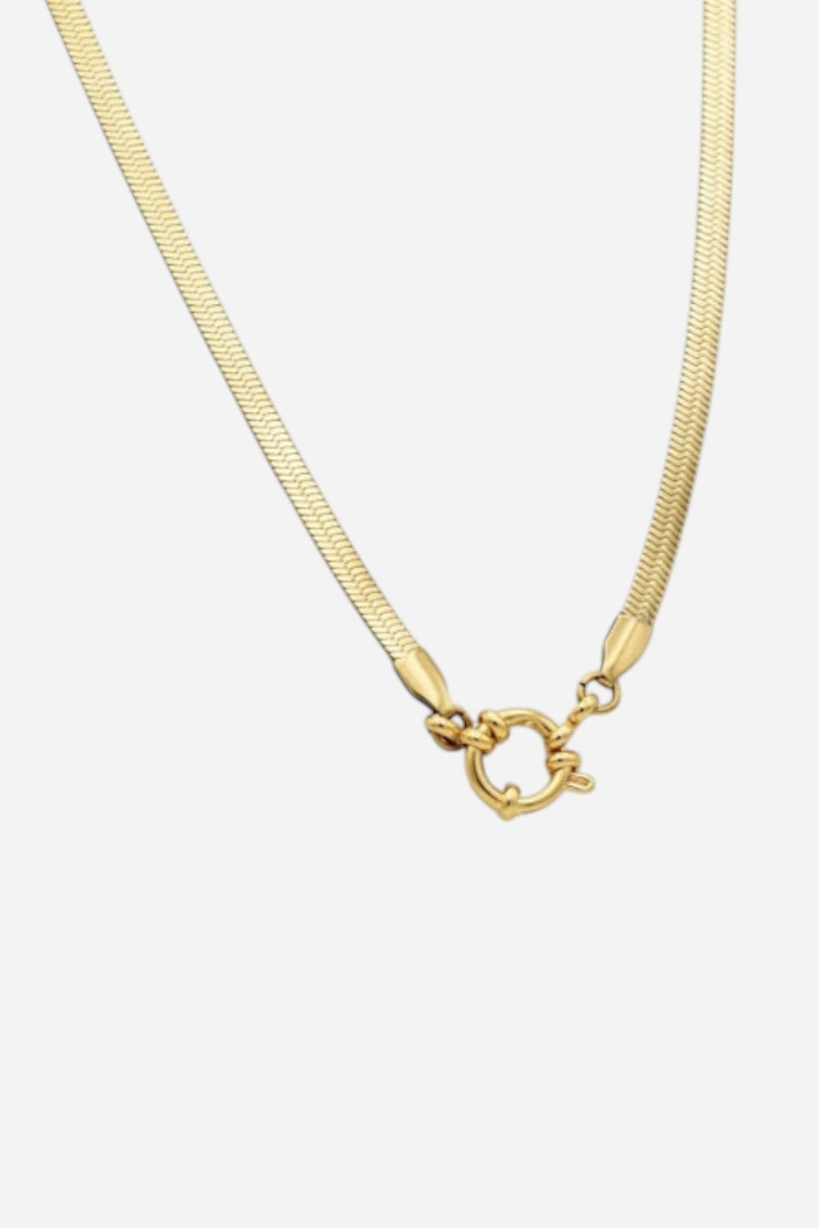 Farrah B Buckle Up Clasp Necklace