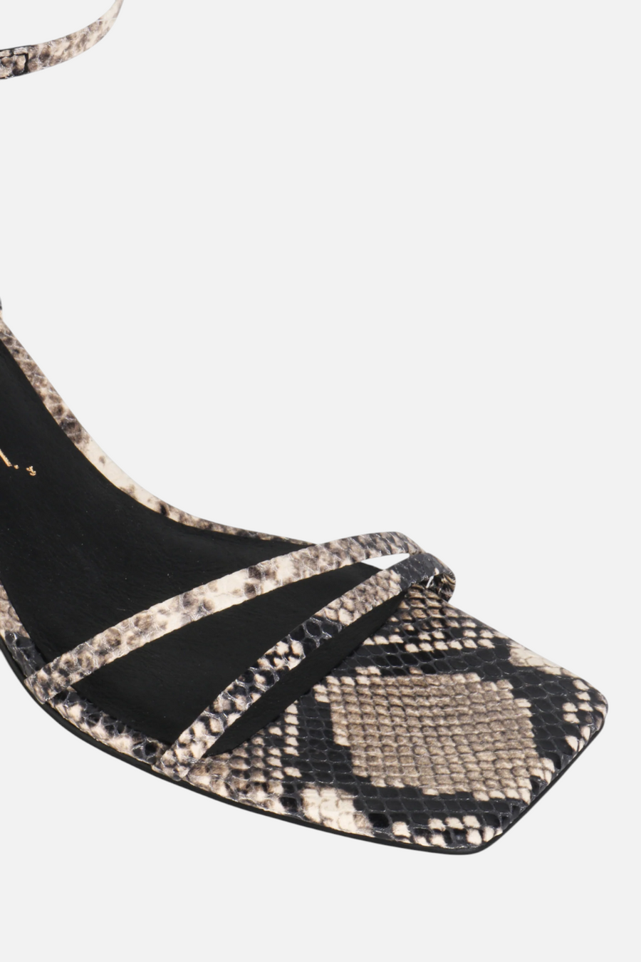 Intentionally Blank Pretty Please Snake Heeled Sandal in Black and White