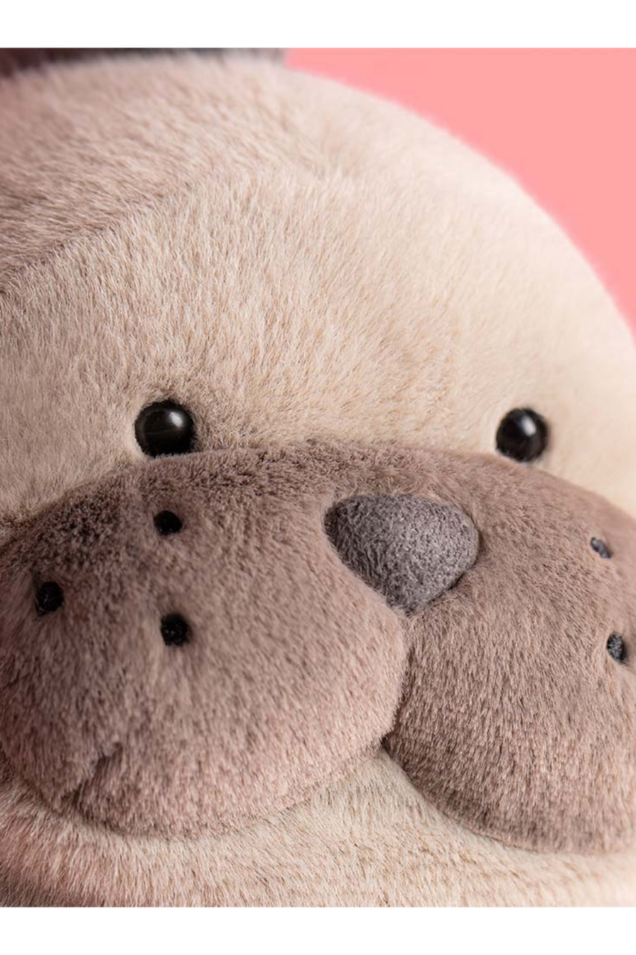 Jellycat Roarwell Sea Lion Plush Toy
