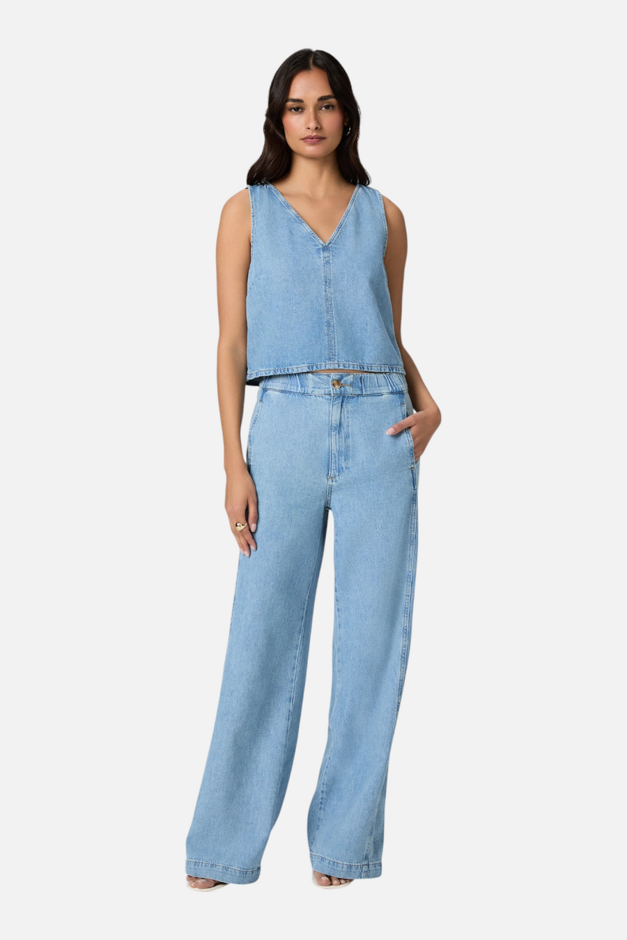 Paige Rumi Wide Leg Denim Pant in Revolution