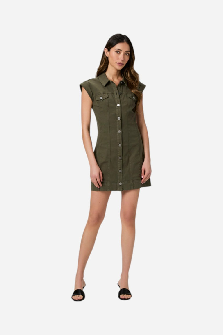 Paige Dekalb Dress in Vintage Forester Green – CHROME