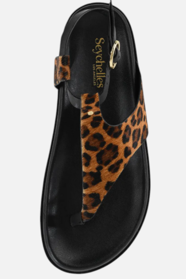 Seychelles In The Zone Ankle Strap Leopard Sandal – CHROME