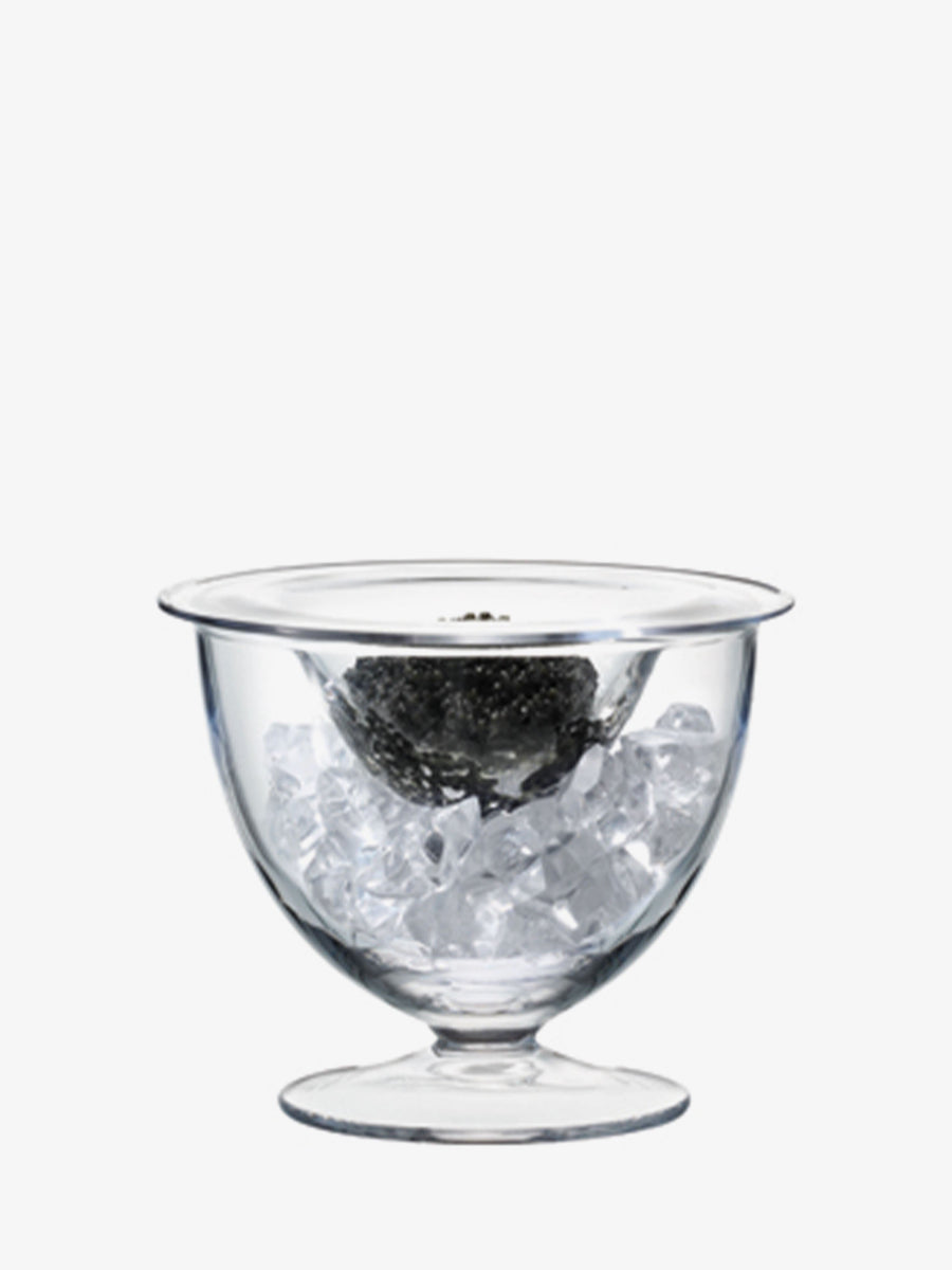 LSA International Serve Caviar Set in Clear