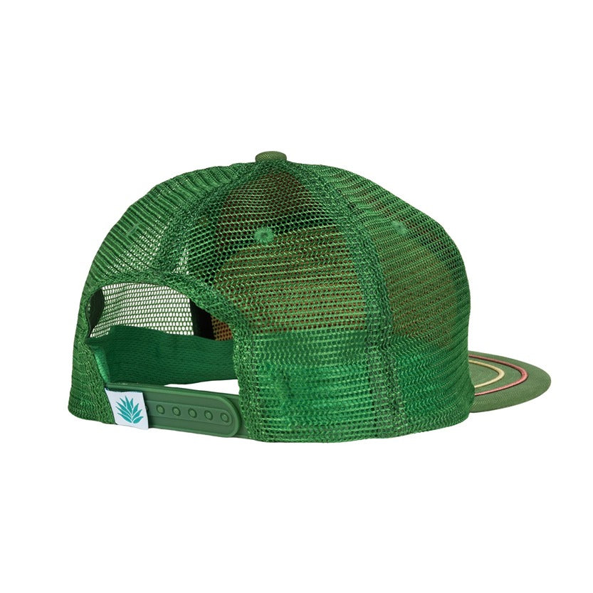 Sendero Provisions Snake Farm Hat in Green
