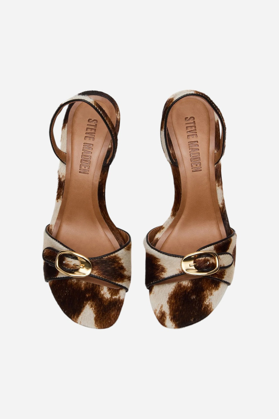 Steve Madden Henrietta in Brown Cow Print