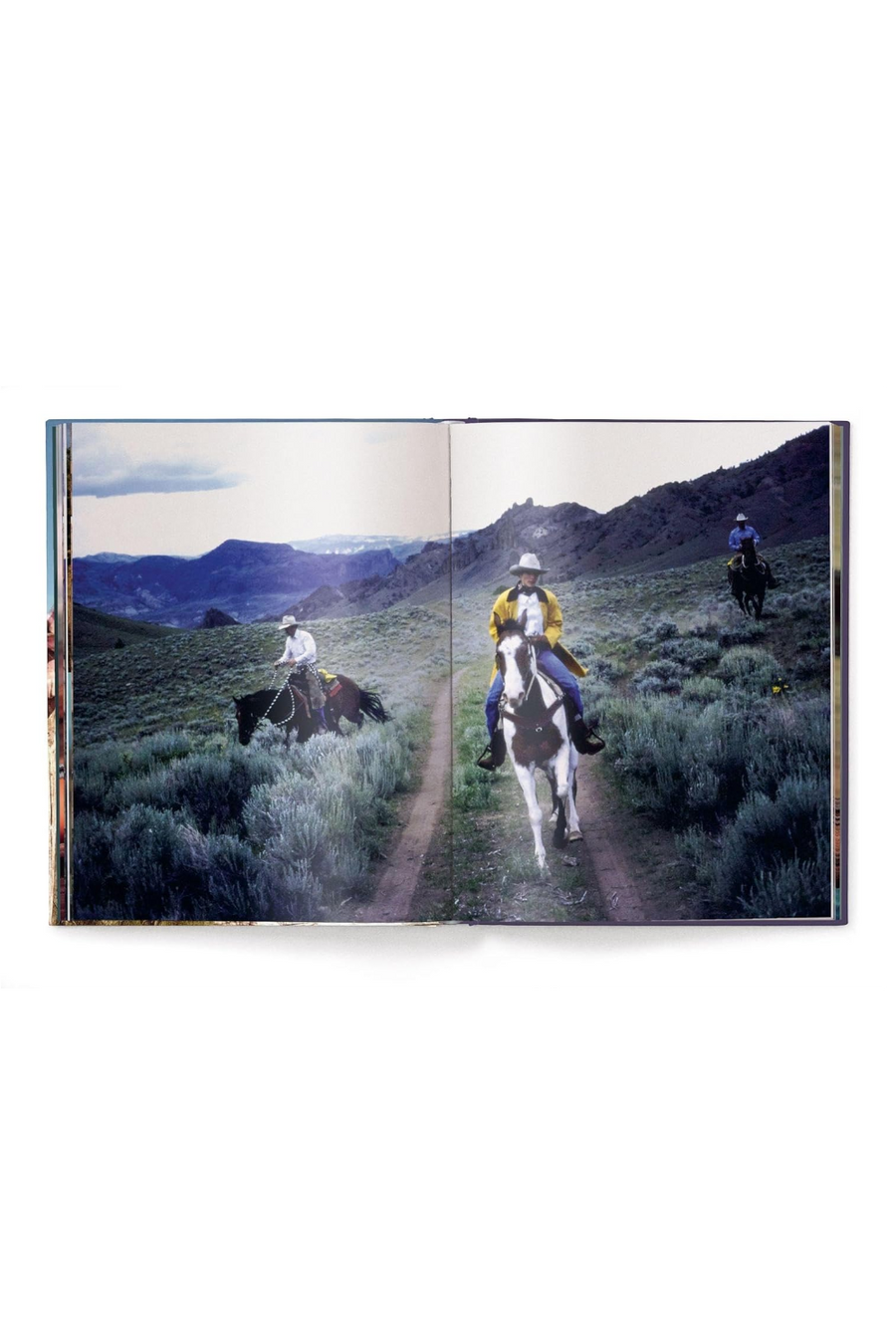The Stylish Life Cowboys Book