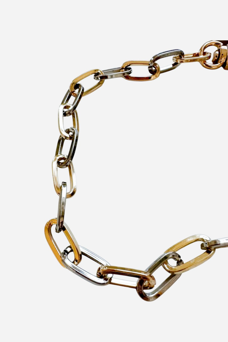 The CAEP Gold/Silver Paperclip Phone Chain