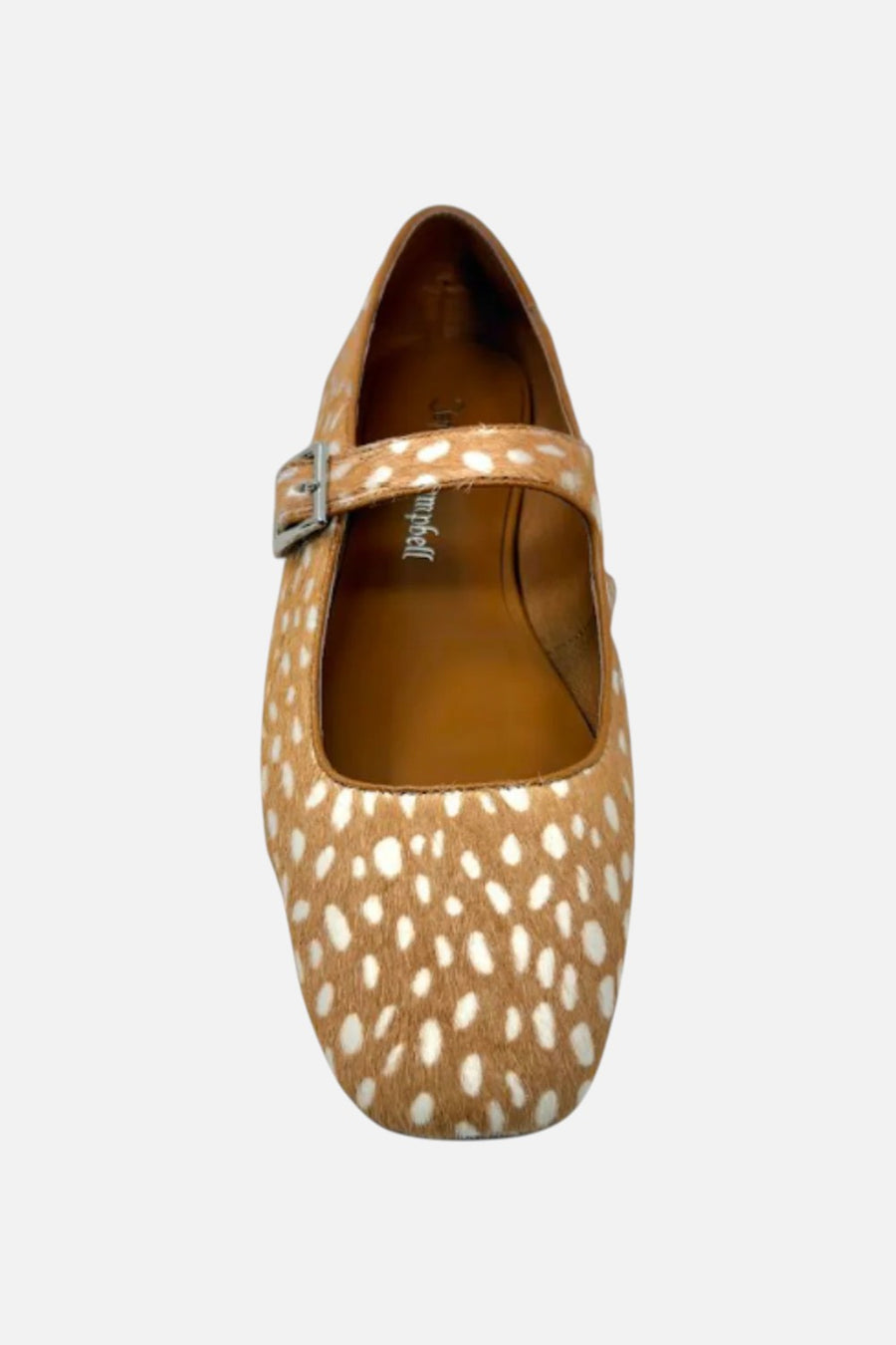 Jeffrey Campbell Elise-2F Mary Jane Flat in Beige Brown