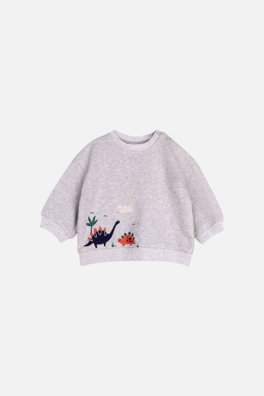 Viverano Kids Dino Sweatshirt & Jogger Set