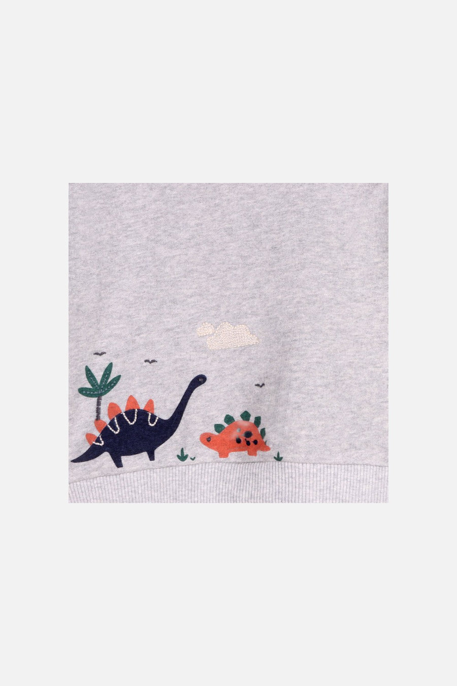 Viverano Kids Dino Sweatshirt & Jogger Set
