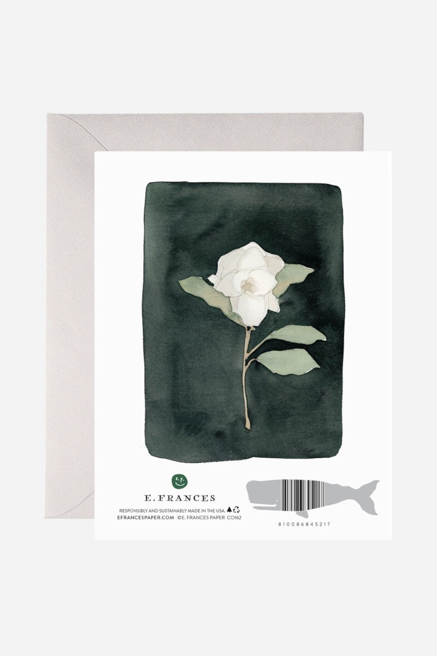 White Flower Sympathy & Condolence Greeting Card