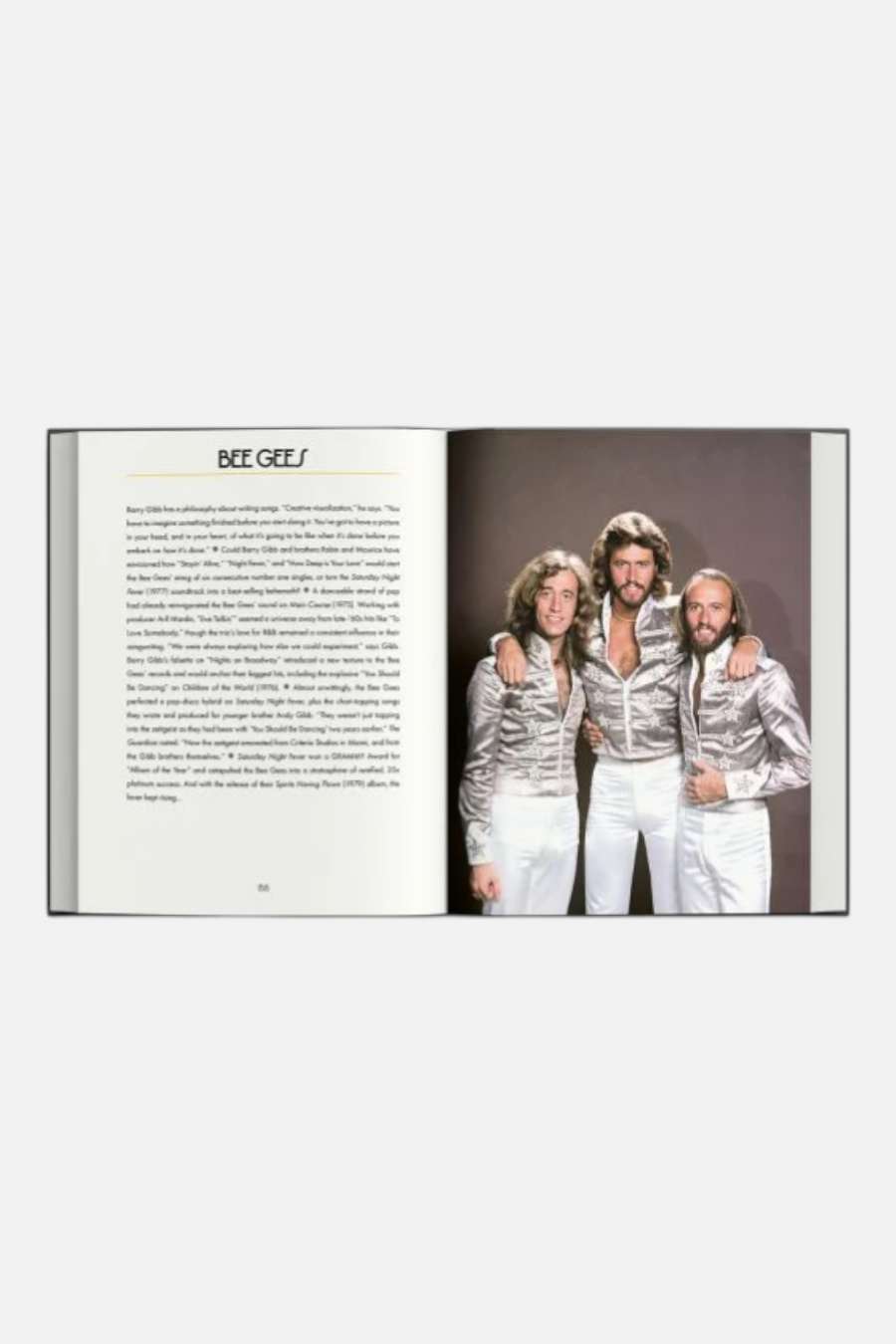 A Night At The Disco Book – back view