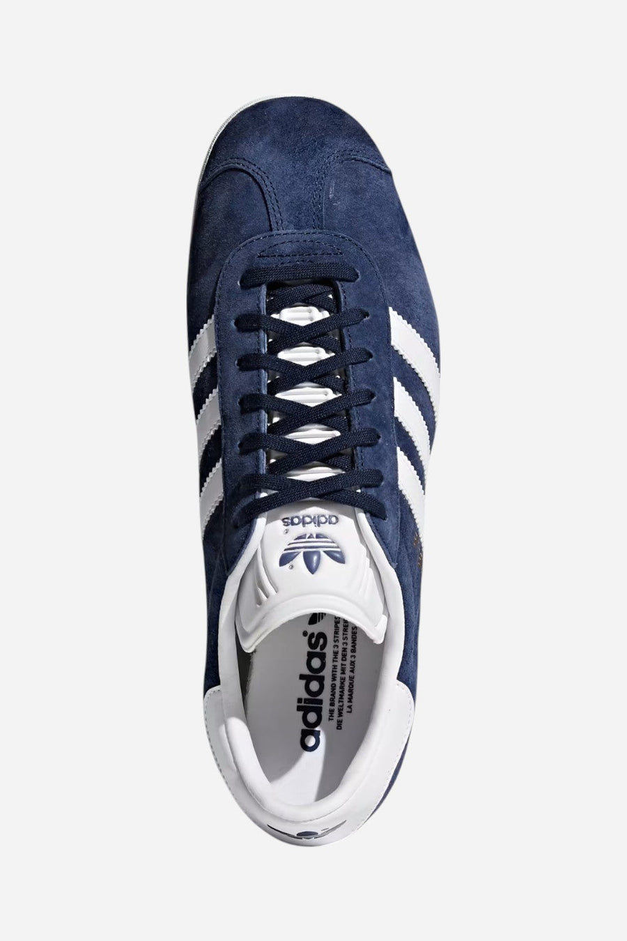 Adidas Gazelle Shoes in Collegiate Navy & White – back view