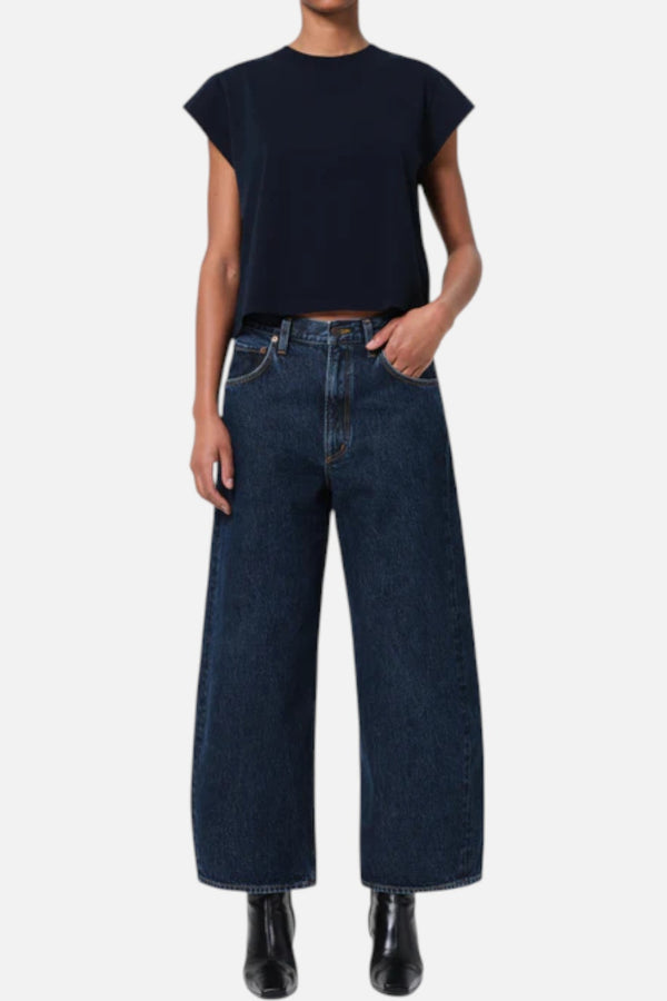 Agolde Low Curve Crop Jean in Pendulum