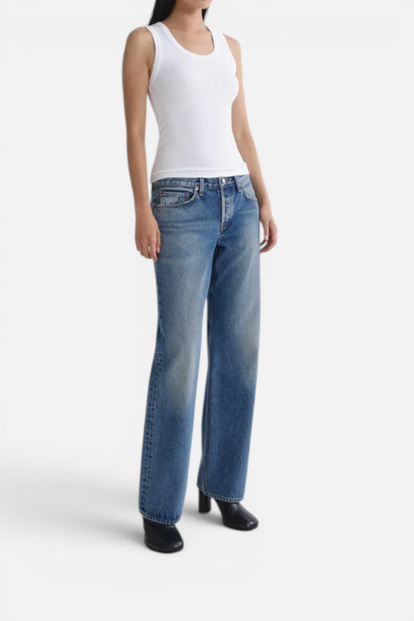 Agolde Low Rise Loose Fit Jean in Liberty